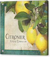 Lemon Tree - Citronier Citrus Limonum Acrylic Print