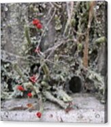 Lichen And Old Fence #1 Acrylic Print
