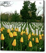 Life And Death At Arlington Acrylic Print