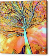 Life In The Trees Acrylic Print