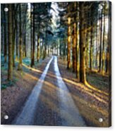 Light Path Crossing In The Woods Acrylic Print