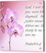 Light Pink Orchid Psalms 71 Acrylic Print