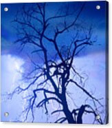 Lightning Tree Silhouette Portrait Acrylic Print