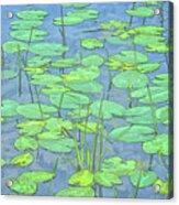 Lily Pads -coloring Book Effect Acrylic Print