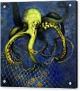 Lime Green Octopus With Net Acrylic Print
