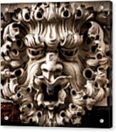 Lion Head Acrylic Print