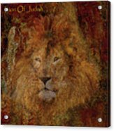 Lion Of Judah Square Acrylic Print