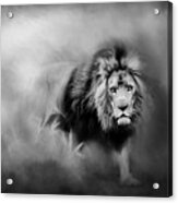 Lion - Pride Of Africa 3 - Tribute To Cecil In Black And White Acrylic Print