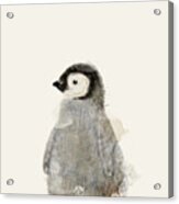 Little Baby Penguin Acrylic Print
