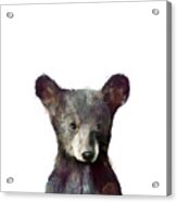 Little Bear Acrylic Print