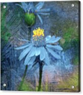 Little Blue Flowers Acrylic Print