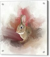 Little Bunny Acrylic Print