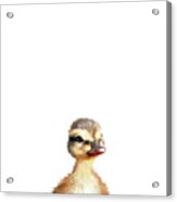 Little Duck Acrylic Print
