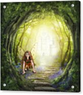 Little Fairy In The Woods Acrylic Print