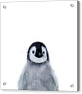 Little Penguin Acrylic Print