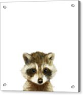 Little Raccoon Acrylic Print