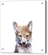 Little Wolf Acrylic Print