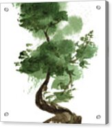 Little Zen Tree 142 Acrylic Print