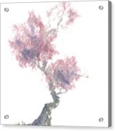 Little Zen Tree 1981 Acrylic Print