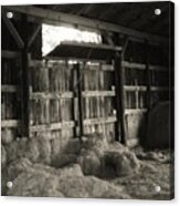 Livestock Barn In Kentucky Acrylic Print