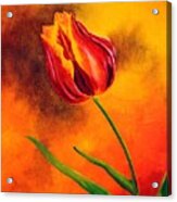 Lone Red Tulip Acrylic Print