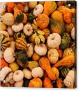 Lots Of Gourds Acrylic Print