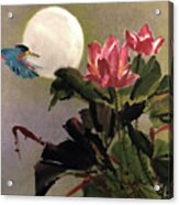 Lotus And Kingfisher Acrylic Print