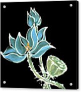 Lotus-blue Acrylic Print