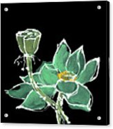 Lotus-teal Acrylic Print