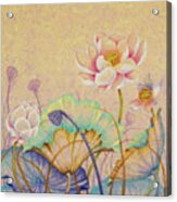 Lotus. Tenderness Acrylic Print