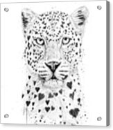 Lovely Leopard Acrylic Print