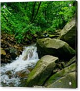 Lower Falls Acrylic Print