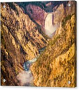 Lower Falls - Yellowstone Acrylic Print