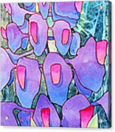 Lupine Solitaire Acrylic Print