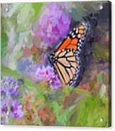 Magical Monarch Butterfly Acrylic Print