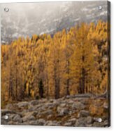 Magnificent Fall Acrylic Print