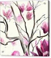 Magnolias In Bloom Acrylic Print