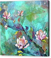 Magnolias Acrylic Print