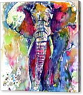 Majestic Elephant I Acrylic Print