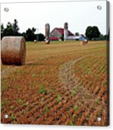 Make Hay Acrylic Print