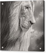 Male Lion Black And White Acrylic Print