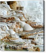 Mammoth Springs, Canary Springs 15 Acrylic Print