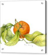 Mandarin Orange Acrylic Print
