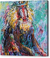 Mandrill Baboon Acrylic Print