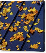 Maple Leaves On A Metal Roof Acrylic Print