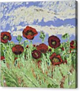 March Poppies Acrylic Print