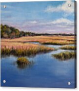 Marshland In Florida Acrylic Print