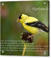 Matthew 6 Acrylic Print