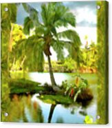 Mauna Lani Palm I Acrylic Print