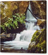 Mcway Creek Falls 1 Acrylic Print